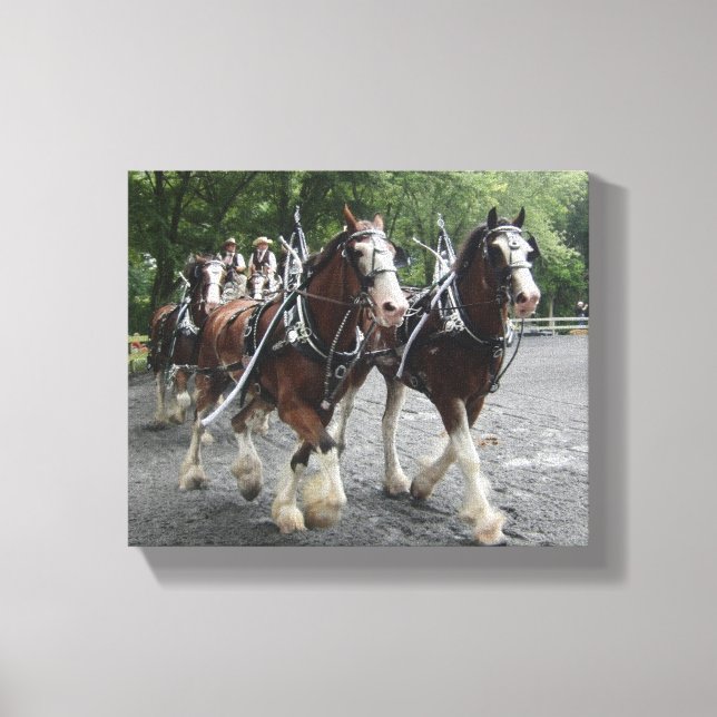 Lienzo Clydesdales Pulling Carril (Anverso)