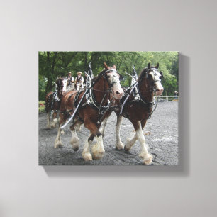 Lienzo Clydesdales que tira del carro