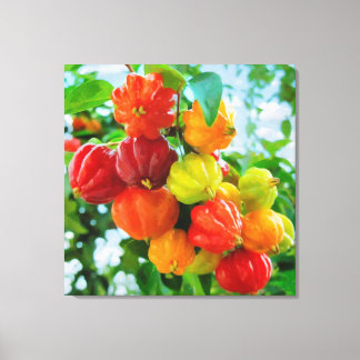 Lienzo CM12135 - Pitanga, fruta tropical