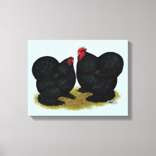 Lienzo Cochins Black Bantam Pair