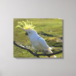 Lienzo Cockatoo curado con azufre amarillo australiano