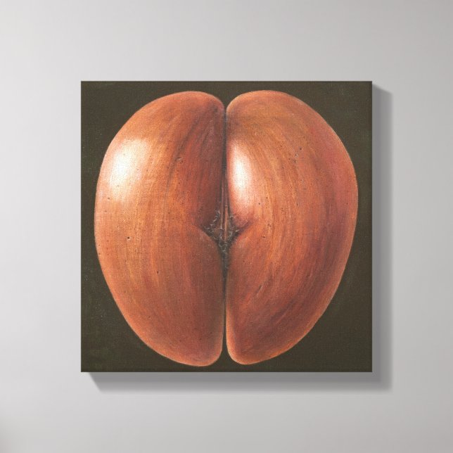 Lienzo Coco de Mer Maldives 2012 (Anverso)