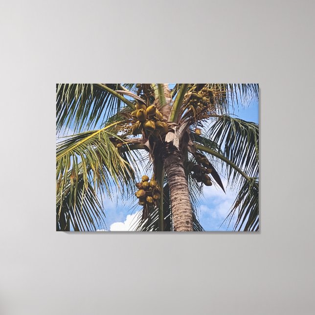 LIENZO COCO PALM (Anverso)
