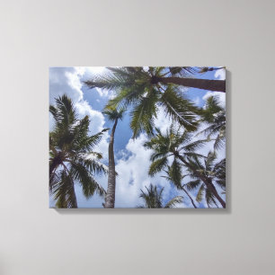 Lienzo COCO PALMS #2 EN CANVAS 20 "x 16"