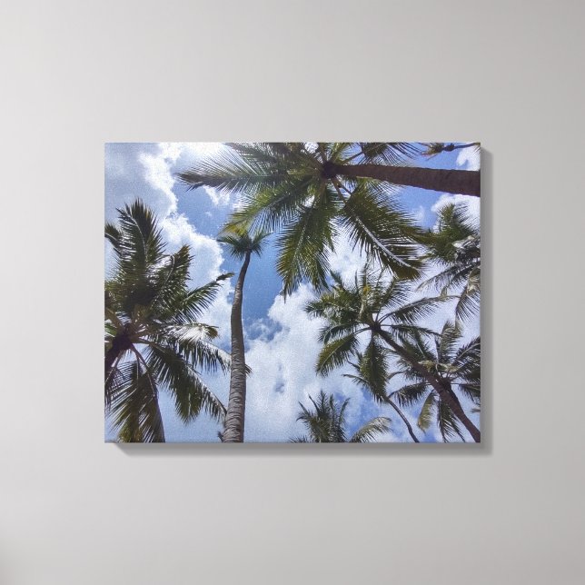 Lienzo COCO PALMS #2 EN CANVAS 20 "x 16" (Anverso)