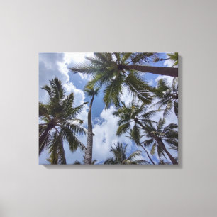 Lienzo COCO PALMS #2 EN CANVAS     20 "x 16"