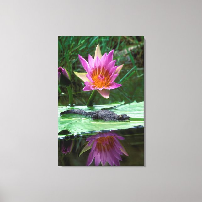 Lienzo Cocodrilo del Nilo (Crocodylus Niloticus) (Anverso)