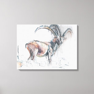 Lienzo Col di Vermianaz