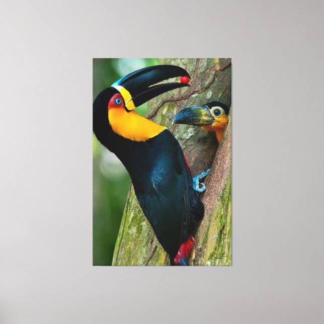 Lienzo Coleção Onaitsirc Infinity de quadros de tela. (Anverso)