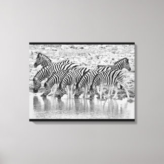 Lienzo Colección de cebra africana blanca negra