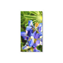 Colección de flora de primavera de naturaleza fasc