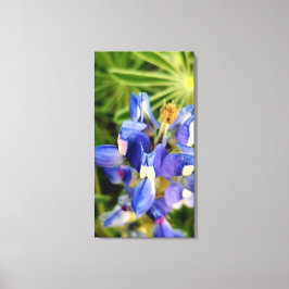 Lienzo Colección de flora de primavera de naturaleza fasc