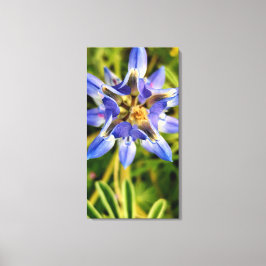 Lienzo colección de flora primaveral aérea de flores mesm