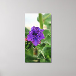 Lienzo Colección de flora primaveral de flores púrpuras