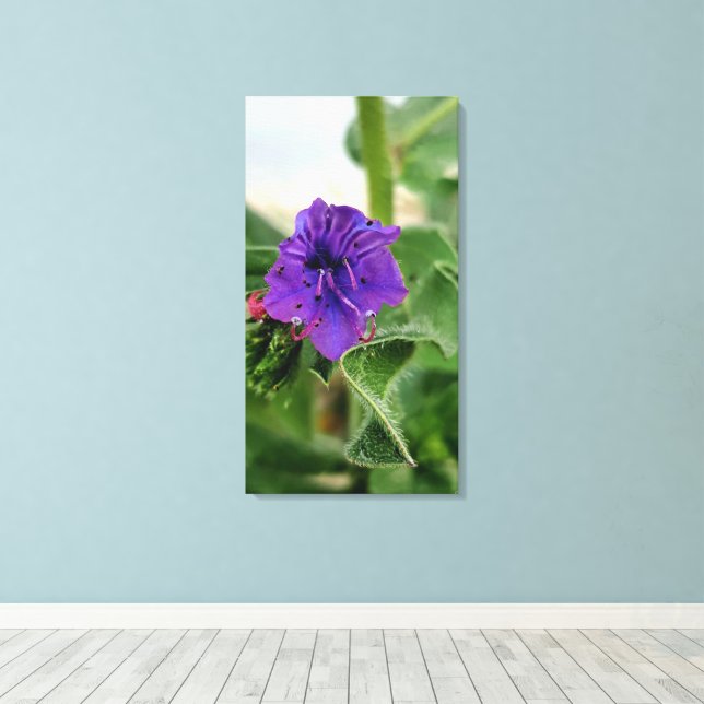 Lienzo Colección de flora primaveral de flores púrpuras (Insitu (piso de madera))