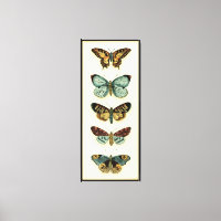 Colección de mariposas por Chariklia Zarris