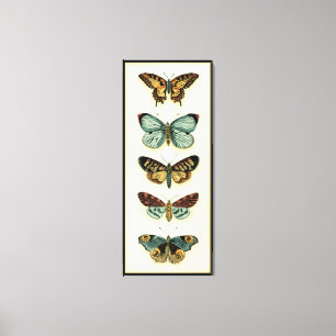 Lienzo Colección de mariposas por Chariklia Zarris
