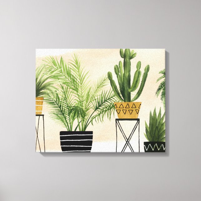 Lienzo Colección de Oasis en el interior (Anverso)