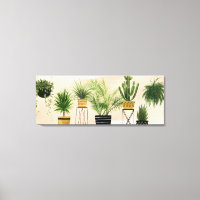 Colección de Oasis en el interior