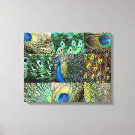 Lienzo Colección fotográfica Green Blue Peacock