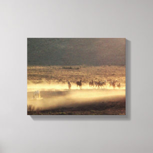 Lienzo Colección GoldDust "Headed to the Waterhole"
