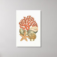 Colección Sealife