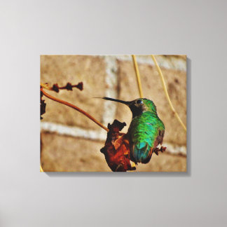 Lienzo Colibrí