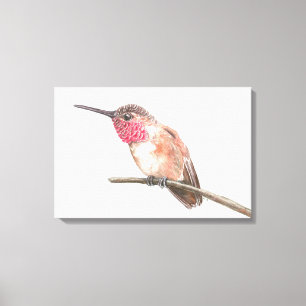 Lienzo Colibrí acuarela