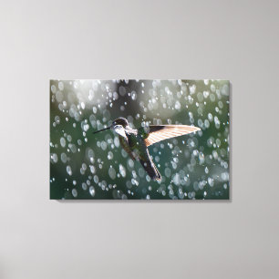 Lienzo Colibrí de Talamanca bajo la lluvia en Costa Rica