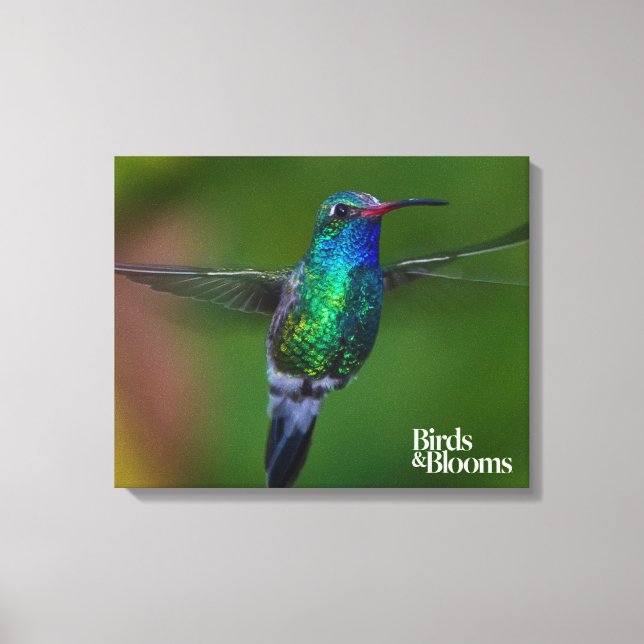 Lienzo Colibrí flotante (Anverso)