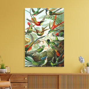 Lienzo Colibríes por Ernst Haeckel, Árboles de pájaros vi