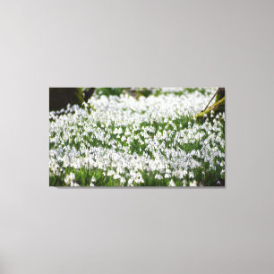 Lienzo Colirio de nieve