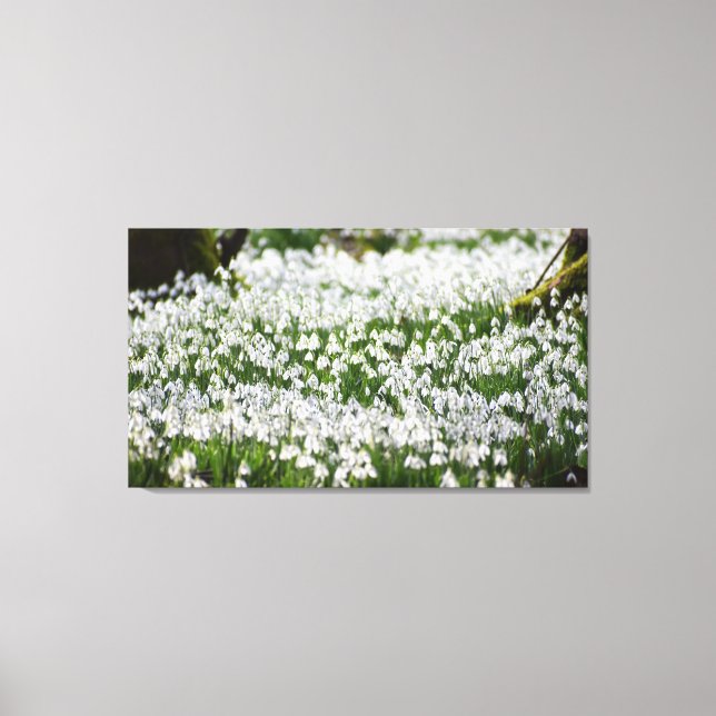 Lienzo Colirio de nieve (Anverso)