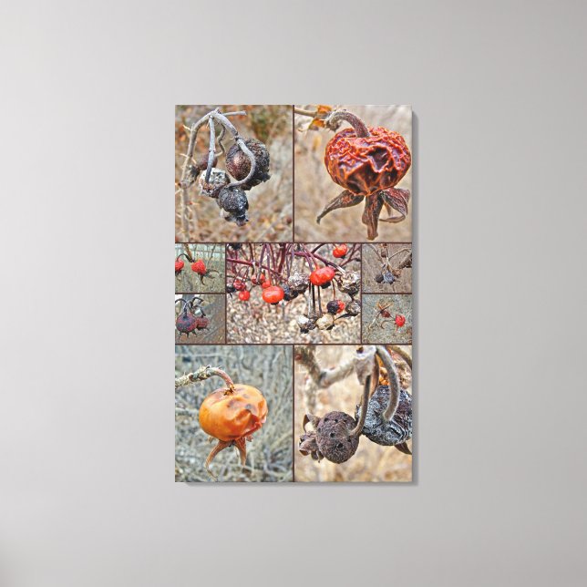 Lienzo Collage de cadera Rosa (Anverso)