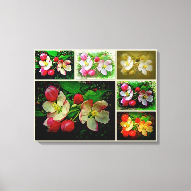 Lienzo Collage de Flor de Manzano - Foto Digital Mejorada (Anverso)