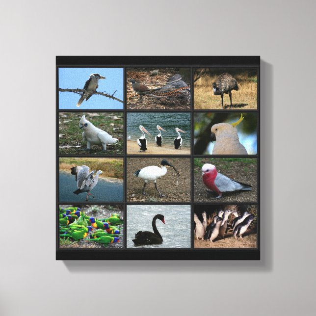 Lienzo Collage de observadores de aves australianos (Anverso)