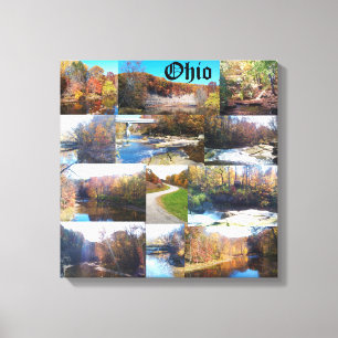 LIENZO COLLAGE DE OHIO