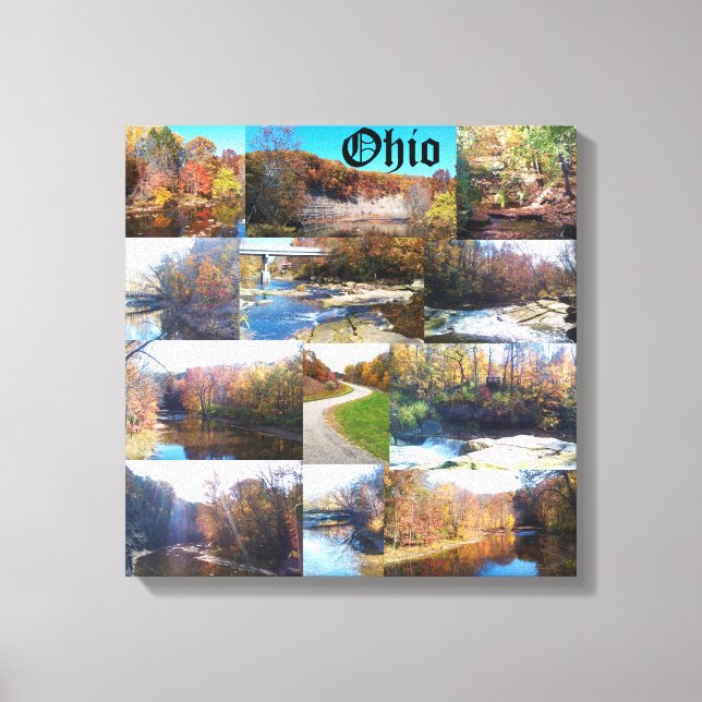 LIENZO COLLAGE DE OHIO (Anverso)