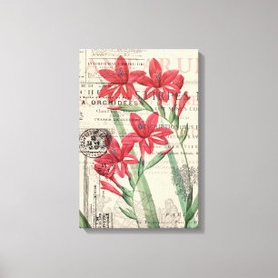 Lienzo Collage rojo de la flor