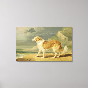 Lienzo collie Áspero-revestido, 1809 (aceite a bordo)