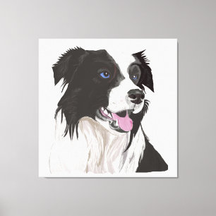 Lienzo Collie blanca y negra con retrato de ojos azules.