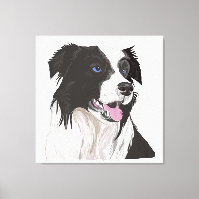 Lienzo Collie blanca y negra con retrato de ojos azules. (Anverso)