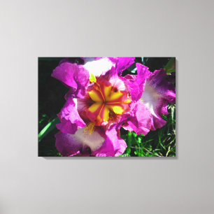 Lienzo Color amarillo rosa Centro Iris Flor