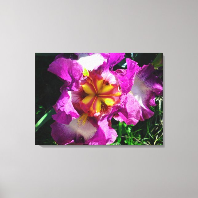 Lienzo Color amarillo rosa Centro Iris Flor (Anverso)
