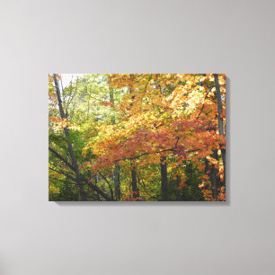 Lienzo Color de caída / Hojas otoñales