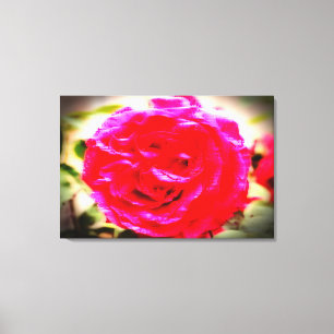 Lienzo COLOR EN MOVIMIENTO de una rosa