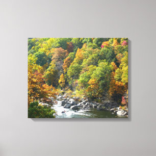 Lienzo Color Otoñal en Ohiopyle State Park