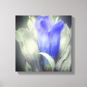 Lienzo Color parcial de la flor gentiana azul