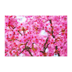 Lienzo Color rosa Flores de cerezo