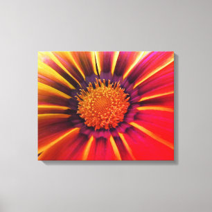 Lienzo Color vivo Gerber Daisy Canvas